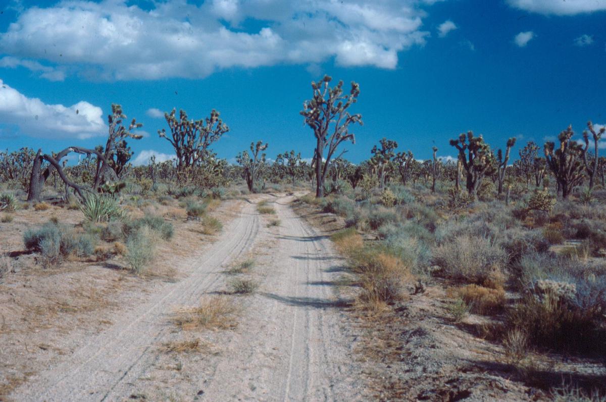 Figure 1 An Unpaved Road in the California Desert. Source: Bureau of Land Management.